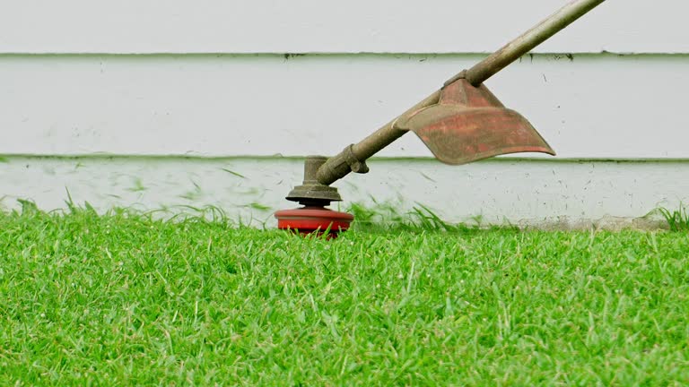 Reliable Lakehills, TX Tree Services Solutions