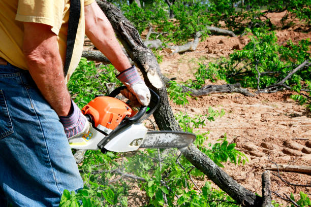 Lawn Grading and Leveling in Lakehills, TX